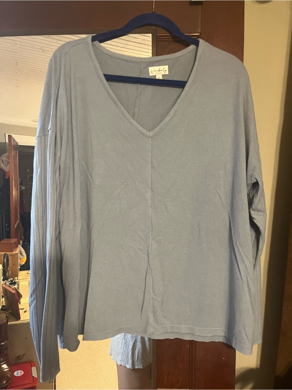 Wonderly Pale Blue V-Neck Long Sleeve Top
